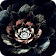 Black Rose Wallpaper icon