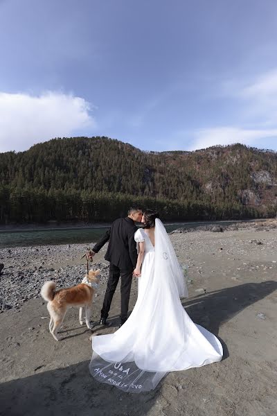 Fotógrafo de casamento Alisa Pavlova (alyapavlovansk). Foto de 7 de fevereiro 2023