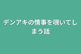 デンアキの情事を覗いてしまう話