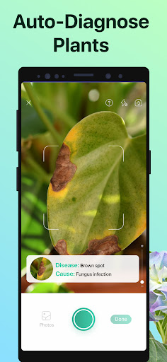 Screenshot PictureThis - Plant Identifier