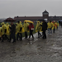 Per non dimenticare: campo di concentramento di Birkenau.... di 