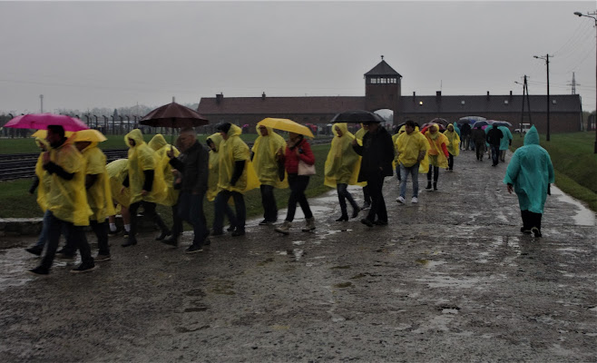 Per non dimenticare: campo di concentramento di Birkenau.... di LASER19