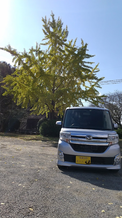 タントカスタムのいつもイイネ&コメントありがとうございます🙇‍♂️・紅葉リベンジ失敗・犬鳴山～根来寺大門・スカイライン盗難防止策に関するカスタム事例の投稿画像6枚目