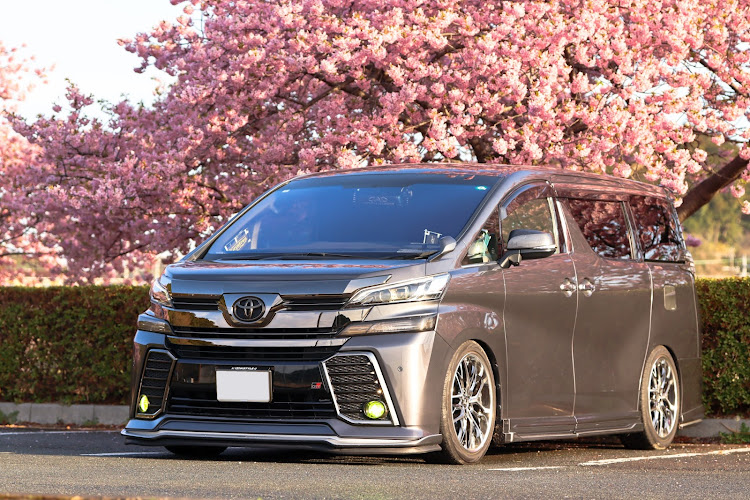 ヴェルファイアの河津桜・ドライブに関するカスタム事例の投稿画像1枚目