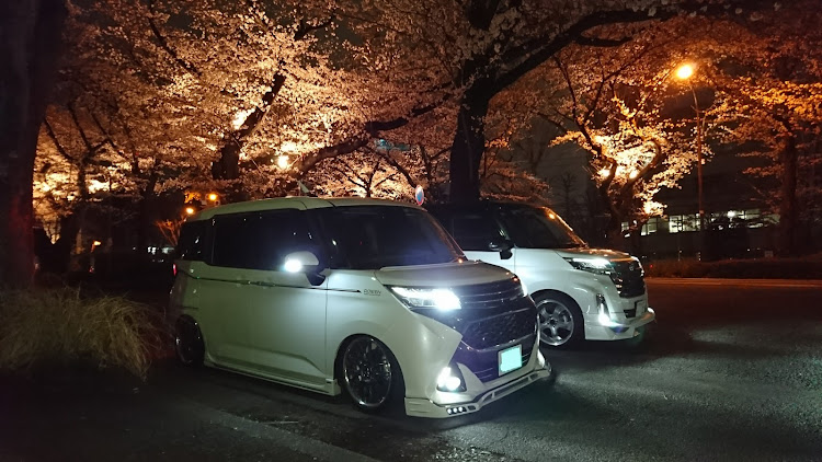 タンクのROWEN・菜の花畑・つくしんぼ・綺麗な尾根遺産は好きですか？・桜に関するカスタム事例の投稿画像11枚目