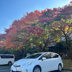 プリウスα ZVW40W