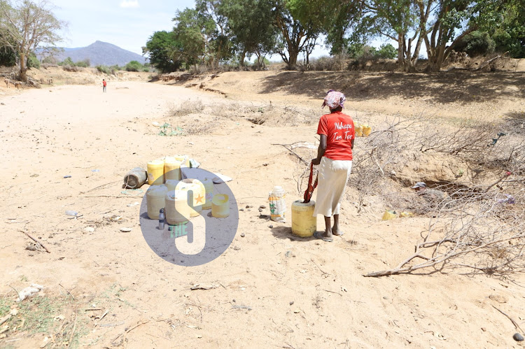 Rose Kaluma at a well on dried up Voi River, Mwatate, Taita Taveta on November 3, 2022.