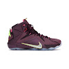 lebron 12 double helix