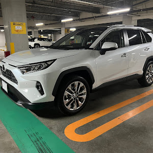 RAV4 MXAA54