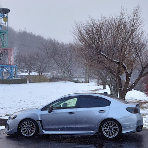 WRX S4 VAG