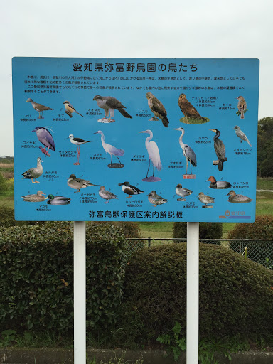 野鳥の案内板