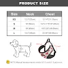 miniatures image - 2
