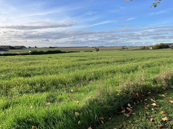 terrain à Boves (80)