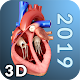 Heart Anatomy Pro. Download on Windows