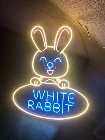 White Rabbit photo 