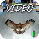 تحميل التطبيق Video Wallpaper 2K التثبيت أحدث APK تنزيل