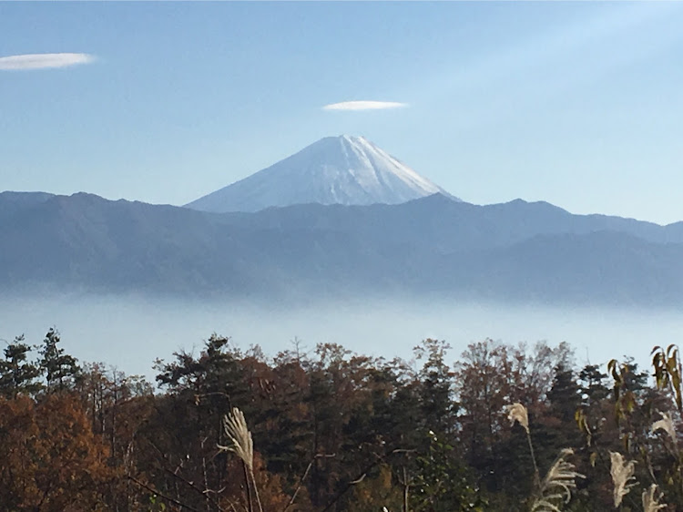 の投稿画像2枚目