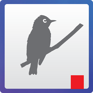 Suara Pleci Pilihan.apk 1.0