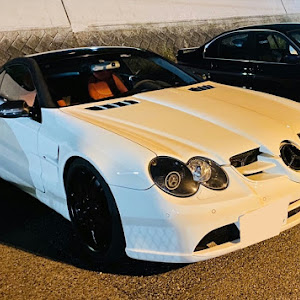 SL SL500