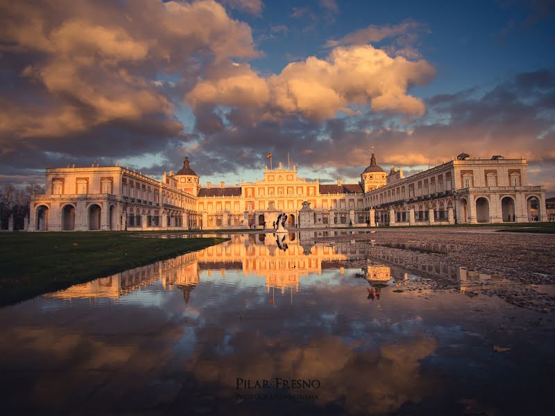 Bröllopsfotograf Pilar Fresno (pilarfresno). Foto av 10 juni 2019