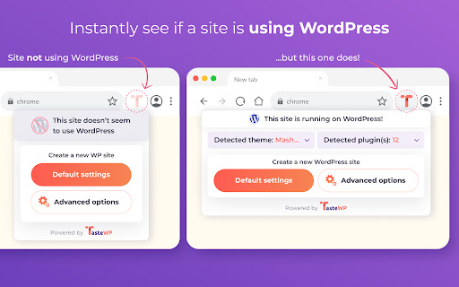 TasteWP: Free WordPress Instances