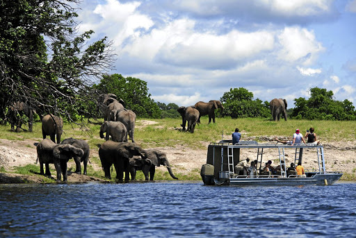 A tender boat takes tourists to the banks of the Chobe National Park which boasts one of the densest populations of elephants on the African continent - estimated at approximately 120,000.