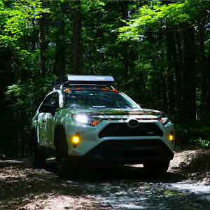 RAV4 MXAA54