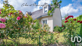 maison à Angers (49)