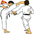 Best Karate Technique1.1.0