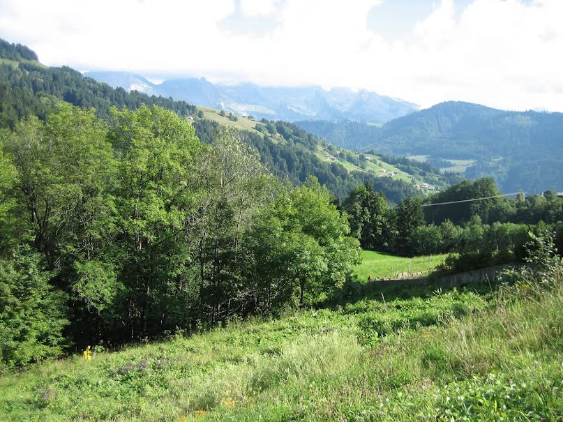 Vente terrain  2402 m² à Le Grand-Bornand (74450), 590 000 €