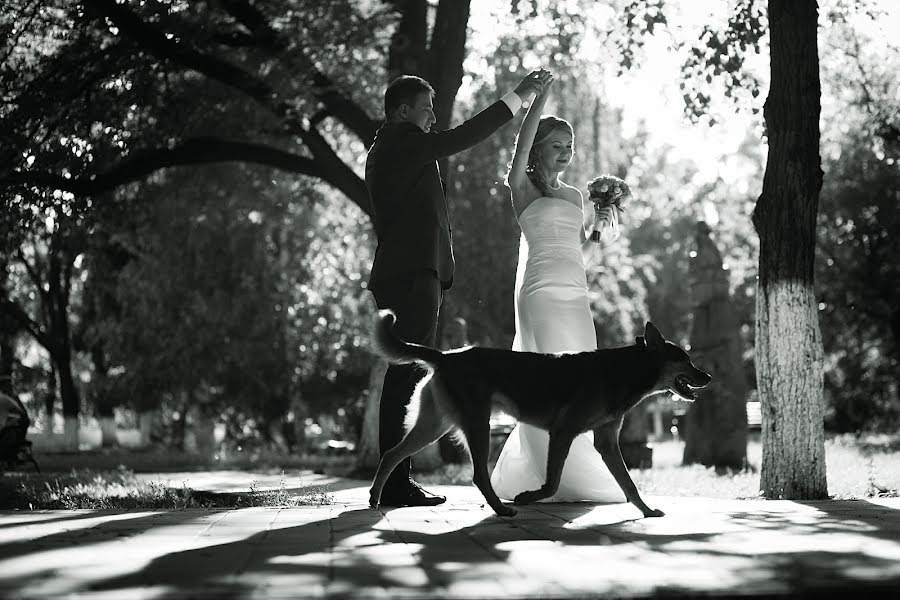 Fotografo di matrimoni Lina Serykh (linas). Foto del 27 settembre 2016