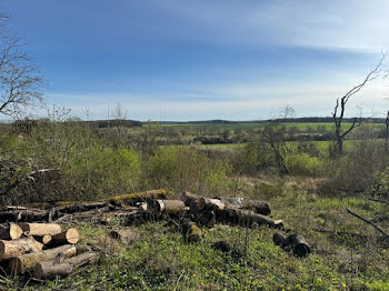 terrain à Luneville (54)