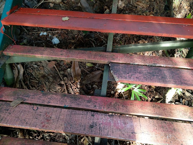 Signal Hill Observatory Tower wooden stairs