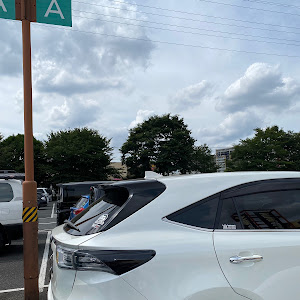 ハリアー ZSU65W