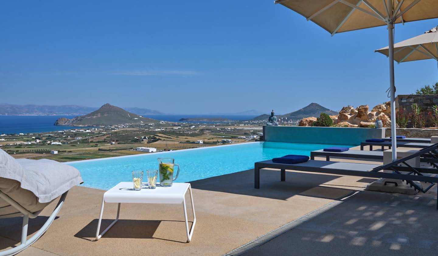 Villa with garden and terrace Paros