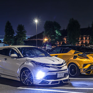 C-HR NGX10