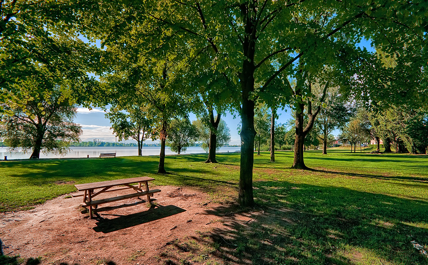 Il parco al lago di 6x6