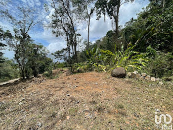 terrain à Les Anses D Arlet (972)