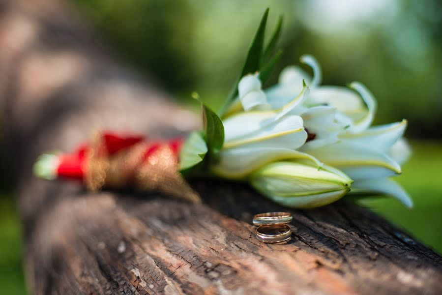 Photographe de mariage Aleksandr Zolotarev (alexzolotarev). Photo du 17 juin 2014