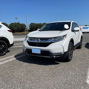 CR-V RT6