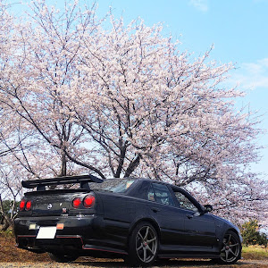 スカイライン ENR34