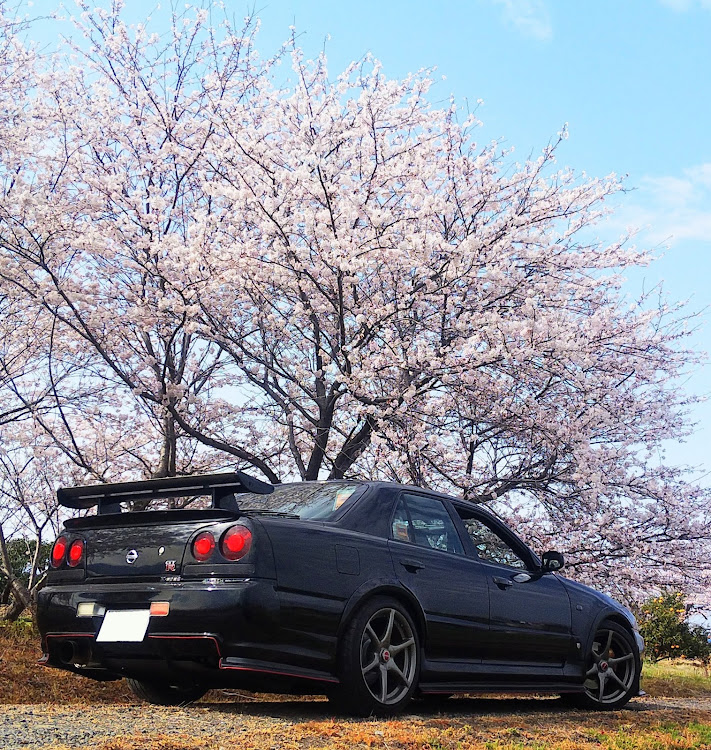 スカイラインの低そうで低くない少し低い車・新緑の季節・いらすとやCUP・いらすとやMT・そろそろに関するカスタム事例の投稿画像1枚目