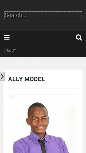 ally model