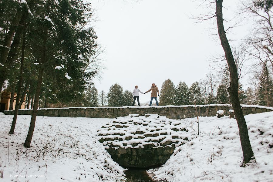 Wedding photographer Igor Savenchuk (igorsavenchuk). Photo of 12 January 2016