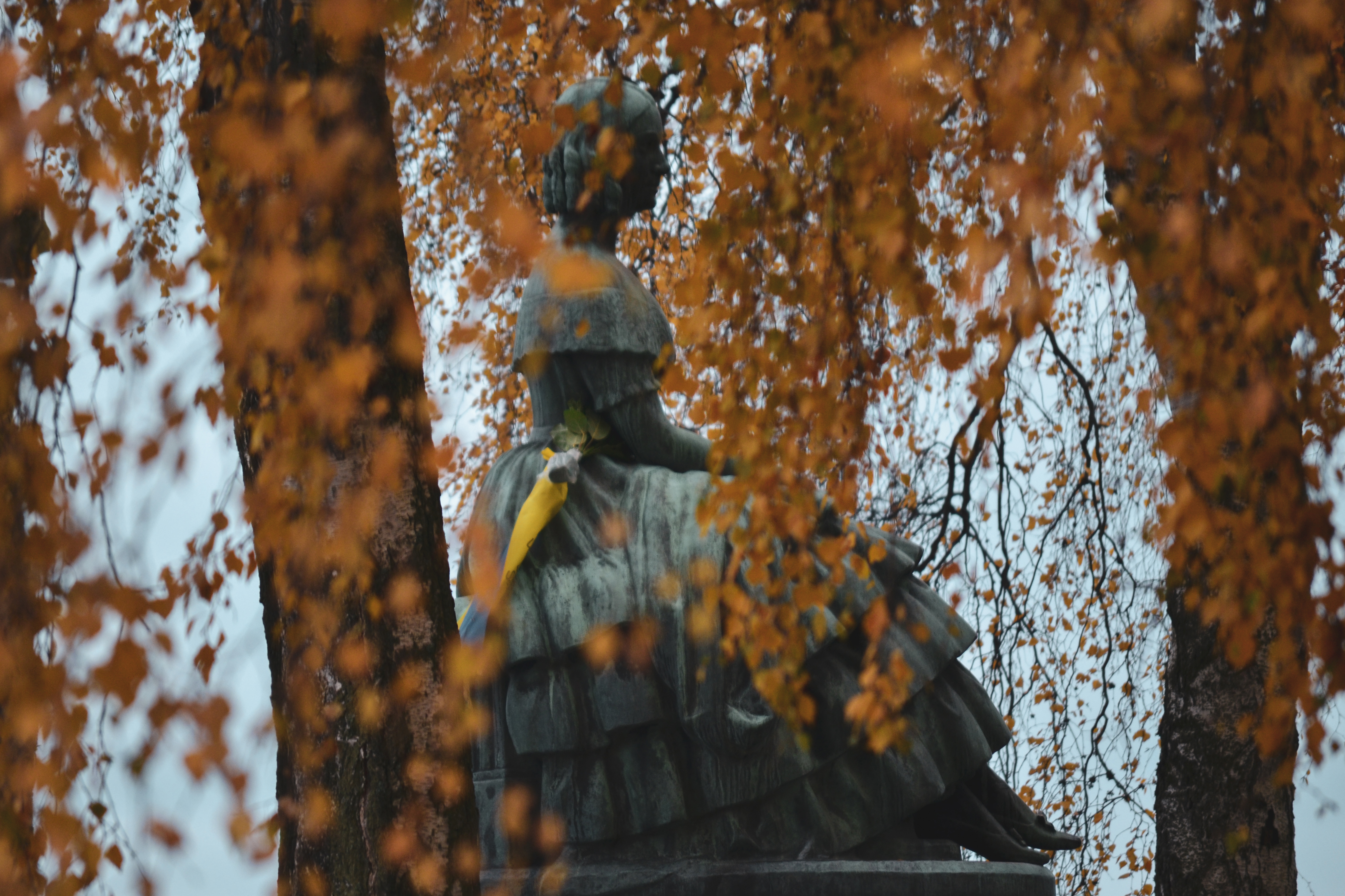 Lacrime d`autunno di Capecchio