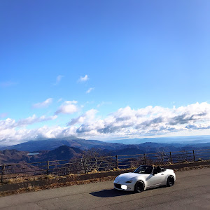 ロードスター ND5RC