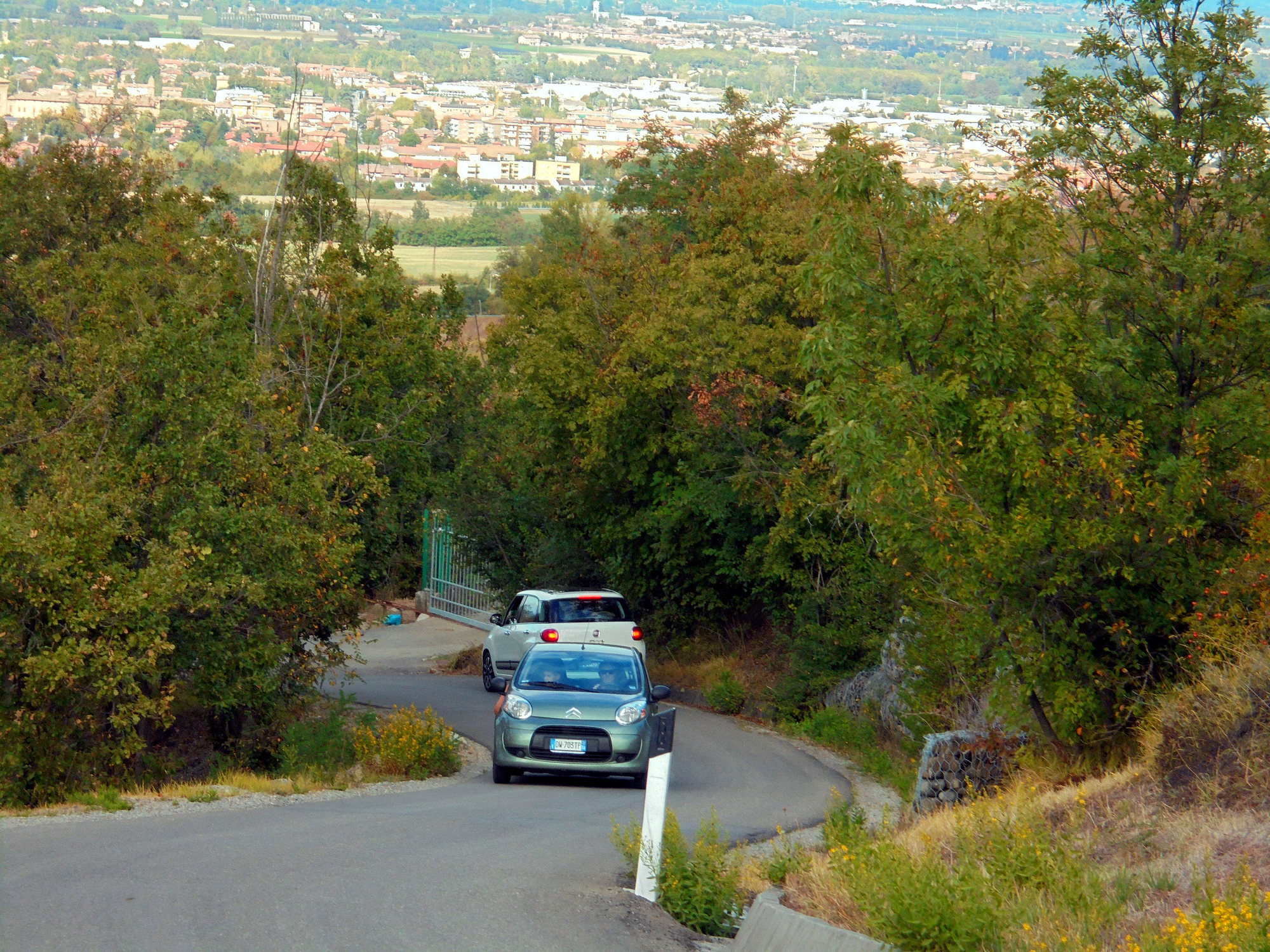 Montagna di Liliana H.