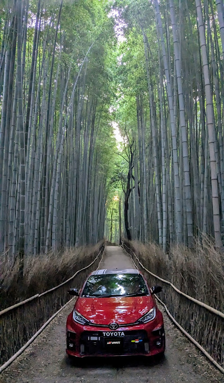 GRヤリスの七夕・嵯峨野竹林・嵐山渡月橋・早朝撮影・モノクロ写真に関するカスタム事例の投稿画像1枚目