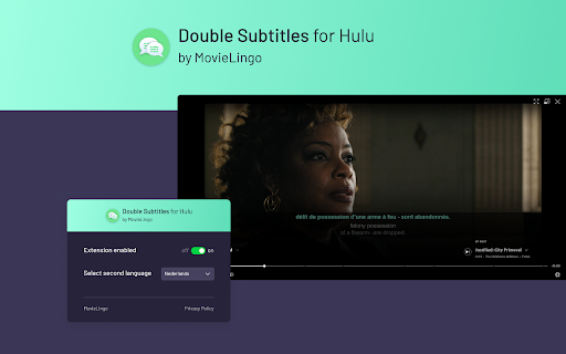 Double Subtitles for Hulu by MovieLingo