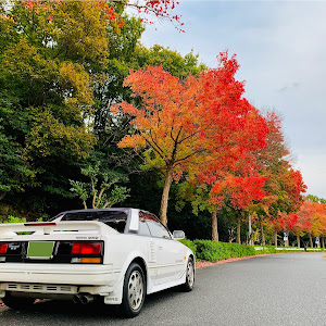 MR2